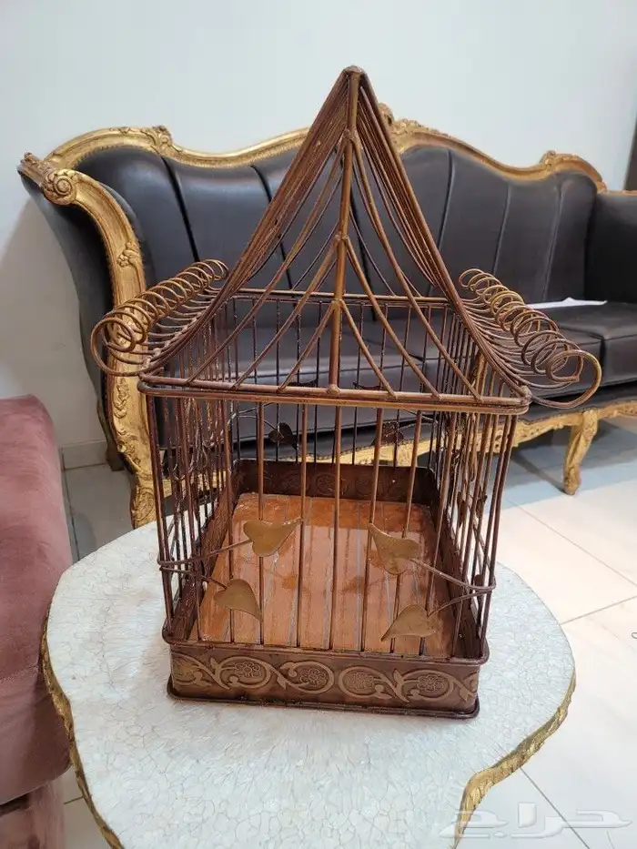 قفص أنتيكا كلاسيك 0