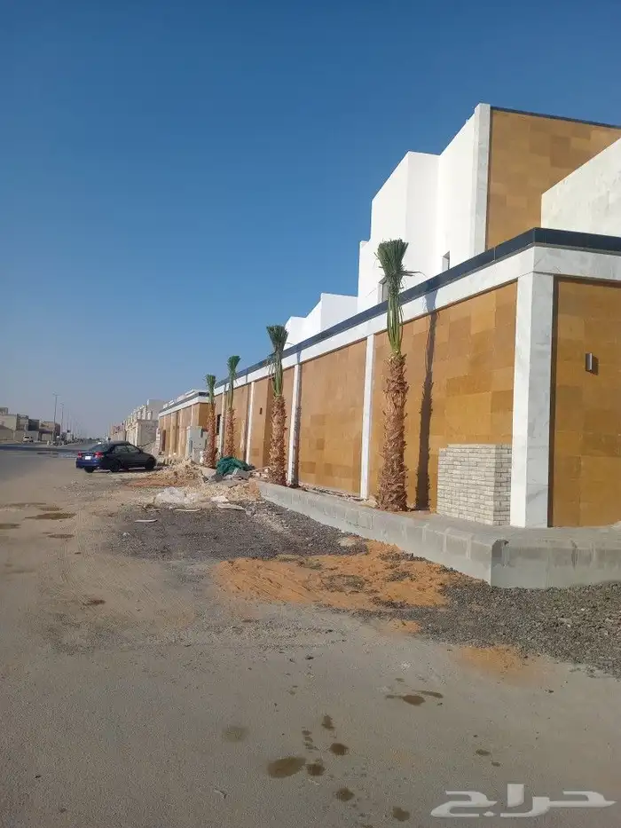 نخيل عربي واشنطني توصيل وزراعه 5