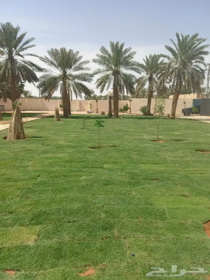 تيل طبيعي 5
