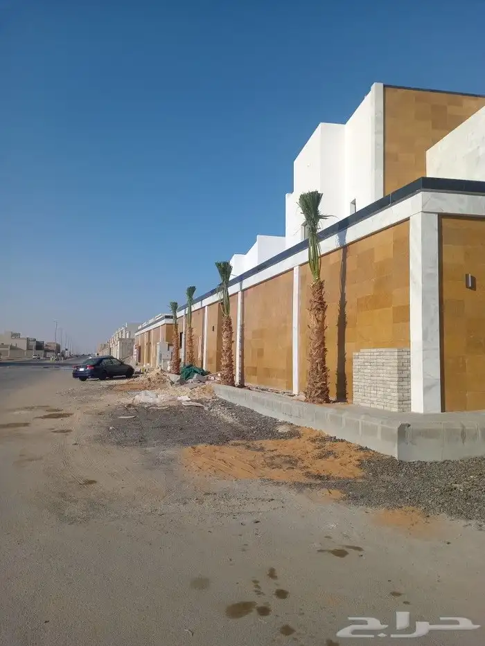 نخيل عربي واشنطني توصيل وزراعه 7