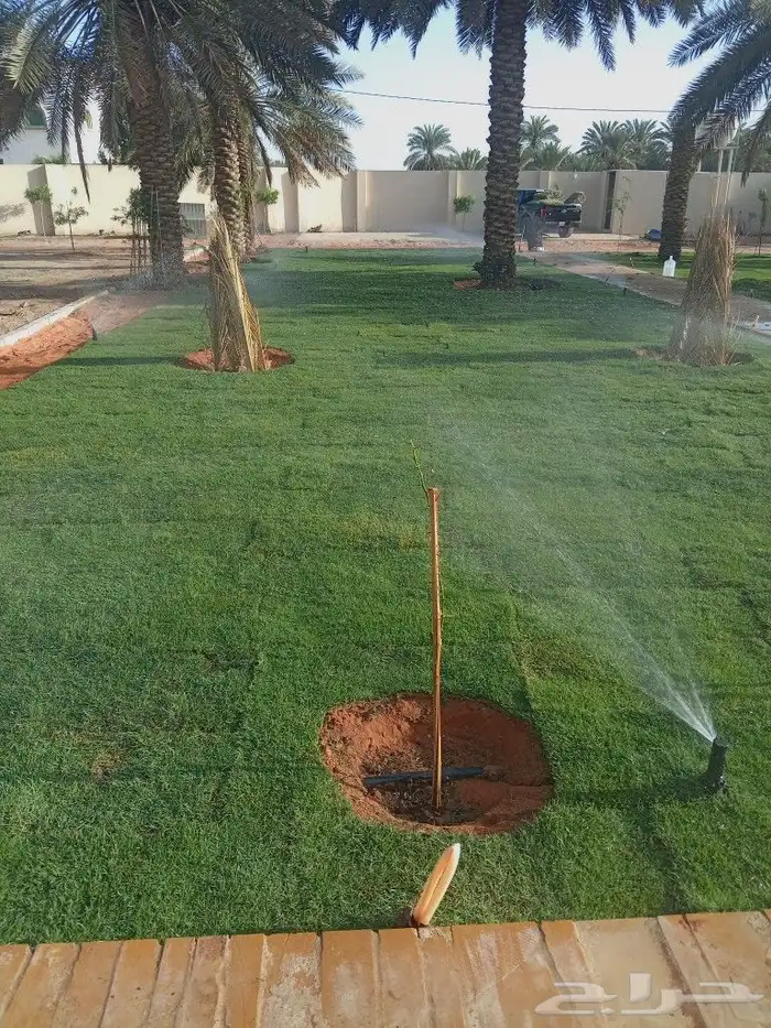 تيل طبيعي 3