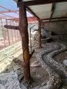 معلم حجر وديكورات اسمنتيه 46