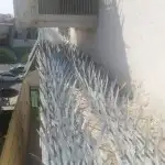 تركيب طارد للحمام والطيور والقطط تركيب درايش 5