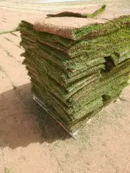 جميع انواع الثيل 5