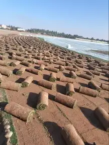 جميع انواع الثيل 4