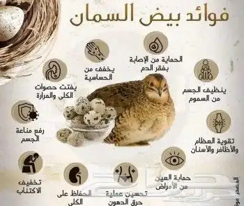 بيض سمان 1