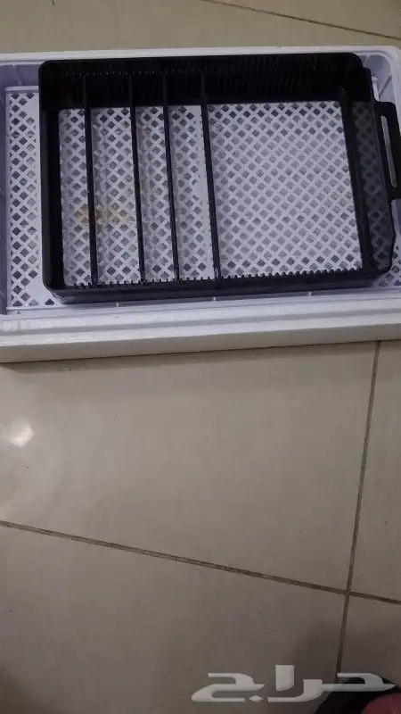 البيع جديد فقط فقاسة تصلح الدجاج روز كروان كناري 1