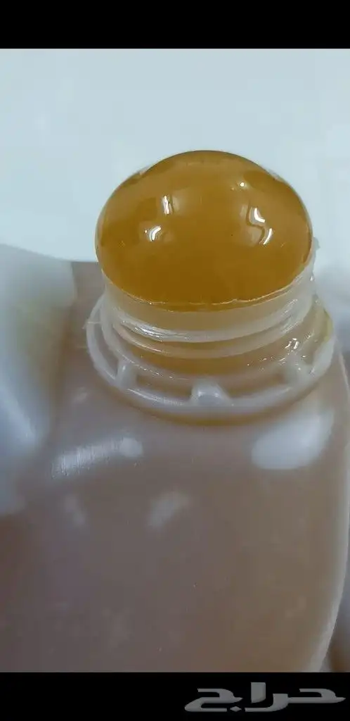 عسل سدر عصيمي ملكي فاخر موسم جديد 0