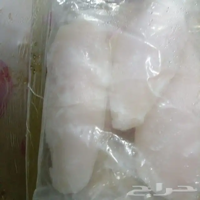 مجمدات عامه فنادق مطاعم 4