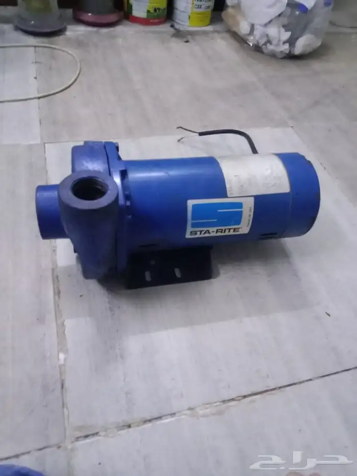 دينمو سمنان 2 حصان نظيف شد بلد 3