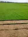 جميع انواع الثيل 1