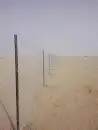 نحن نقوم بتوريد وتركيب جميع انواع الشبوك مزارع كسرات ملاعب ت 3