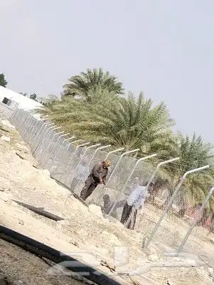احمد لزراعة النخيل العربي وأعمال الشبوك وتوريدها 5