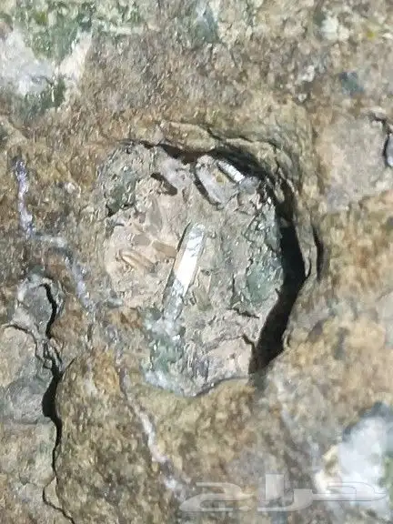 حجر حاضن بلورات.stone containing crystals 8