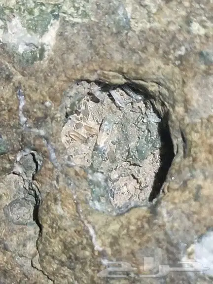 حجر حاضن بلورات.stone containing crystals 3