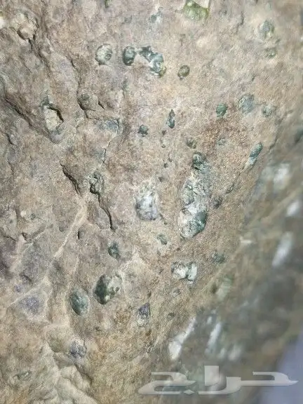 حجر حاضن بلورات.stone containing crystals 5