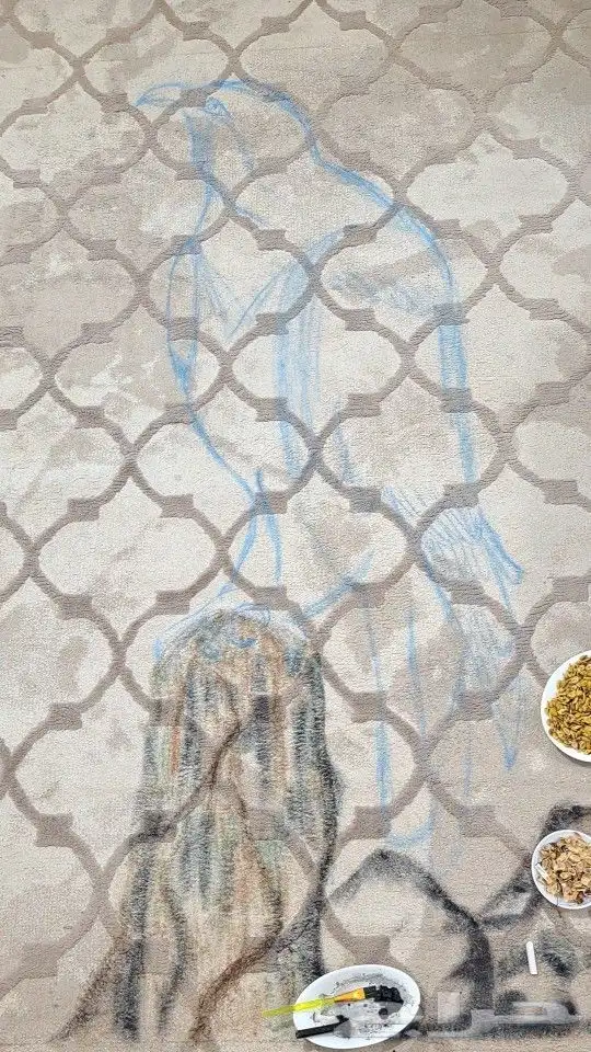 رسم لوحات ديكور ديوانية رسمات صقر سجاد سجاد حيوانات متحف 4