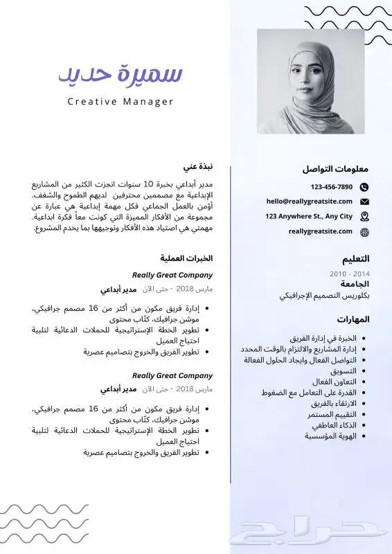 تصميم cv سيرة ذاتية انجليزي او عربي بشكل احترافي 0