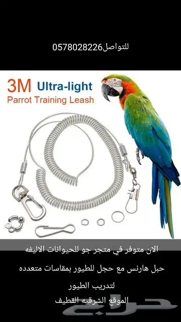 حبل هارنس مع حجل للطيور بمقاسات متعدده لتدريب الطيور 0