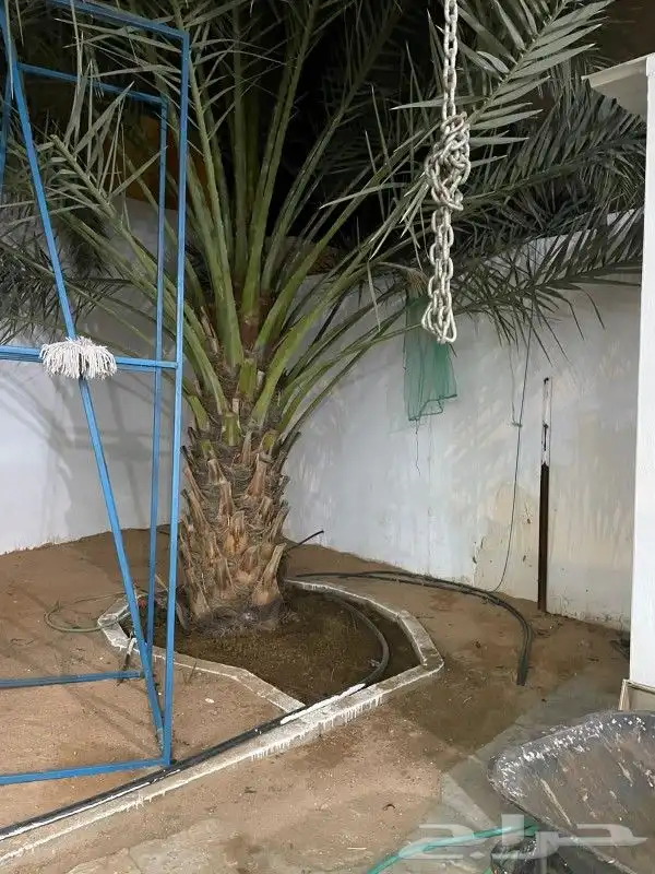 استراحة للبيع بمحافظة النبهانية 10