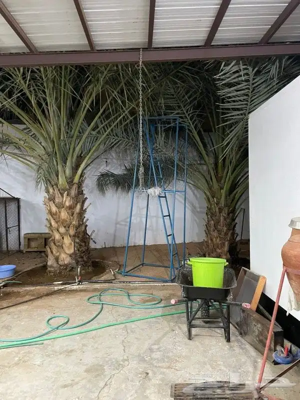 استراحة للبيع بمحافظة النبهانية 9