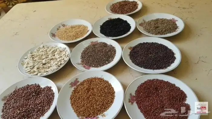 حبوب أكل بلجيكي لجميع الطيور مضاف عليها بذور الطاقة 0