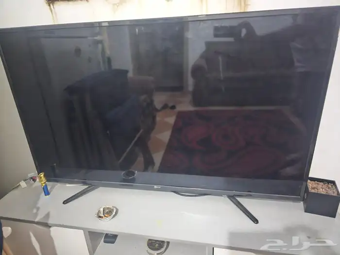شاشة دانسات 55 بوصة للبيع قطع غيار 0
