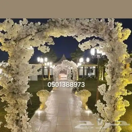 كوشات الجنوب 8