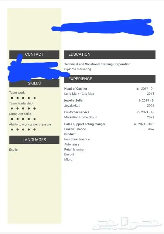 تصميم سيرة ذاتية احترافية CV 4