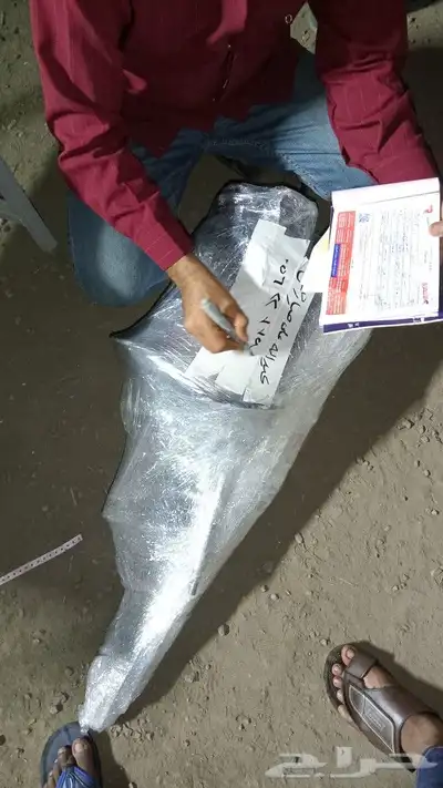 هونداي سوناتا ازيرا توسان مازدا 10