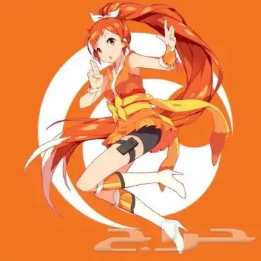 اشتراك كرانشيرول سنة خاص 0