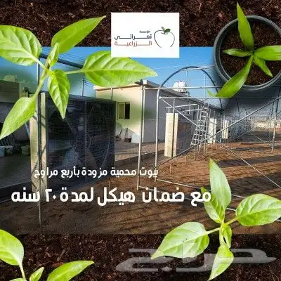 مكة المكرمة 6