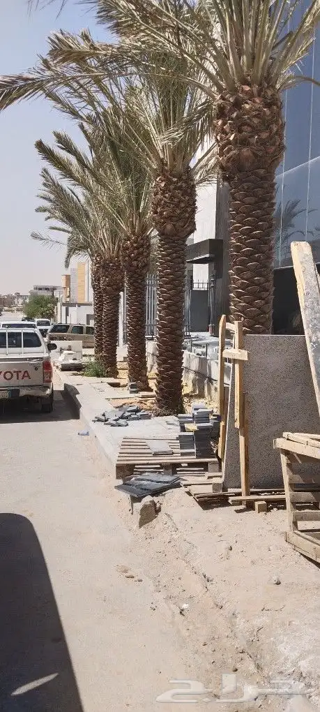 اشنطوني ولعربي 4