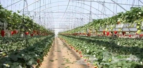 مكة المكرمة 3