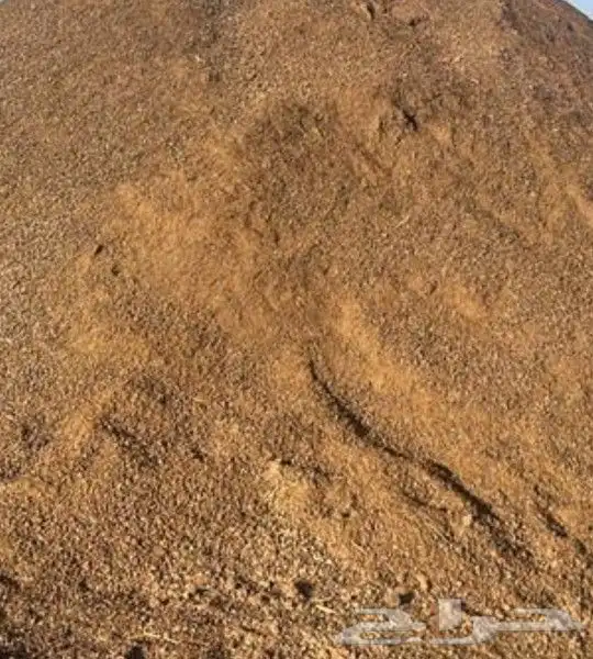 سمعت غنم قديم للبيع 1