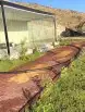 ديكورات ونحت الاسمنت تنسيق الحدائق 34