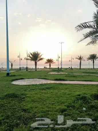 ارض على شارعين ف الوسقه 1