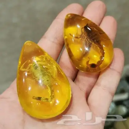 عقارب طبيعيه 0