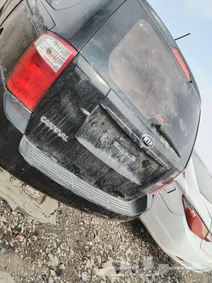 كرنفال 2014 تشليح 0