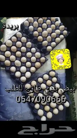 متوفر 5 اطباق بيض بلدي طازج (بريدة) 0