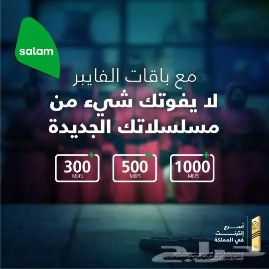 مندوب ألياف بصرية 1
