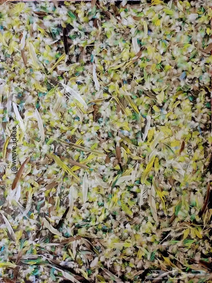 لوحة جنحانك 1