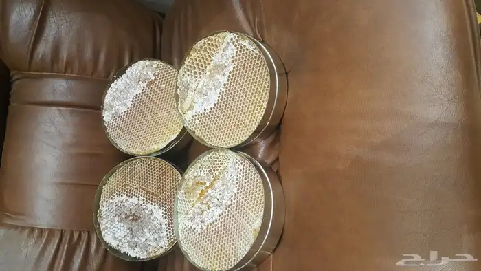 العسل السدر اليمني 7