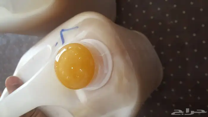 العسل السدر اليمني 1