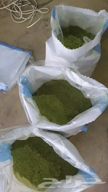 حناء عضوي من مزرعتي ولله الحمد والفضل 8