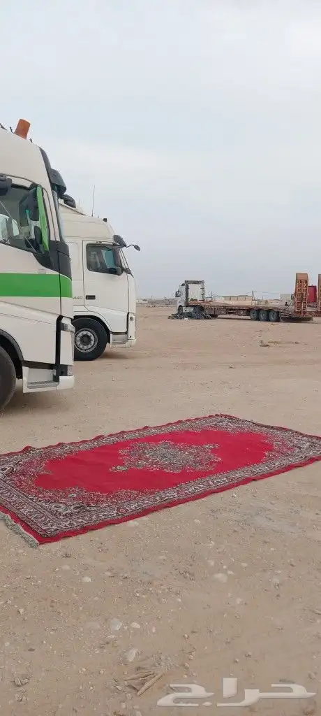 لوبد كبير 3