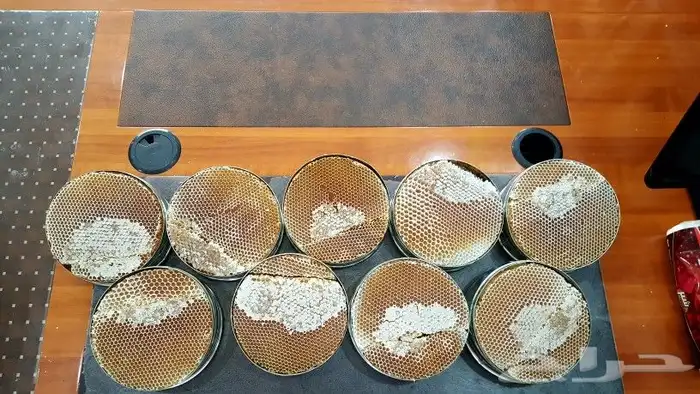 العسل السدر اليمني 4