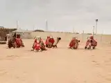 استأجر خيول وجمال زينه 0