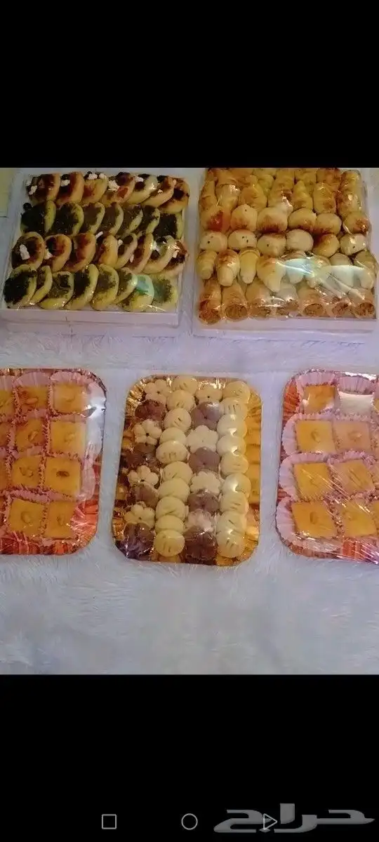 معجنات طلب اليوم بالعافيه عليهم 0
