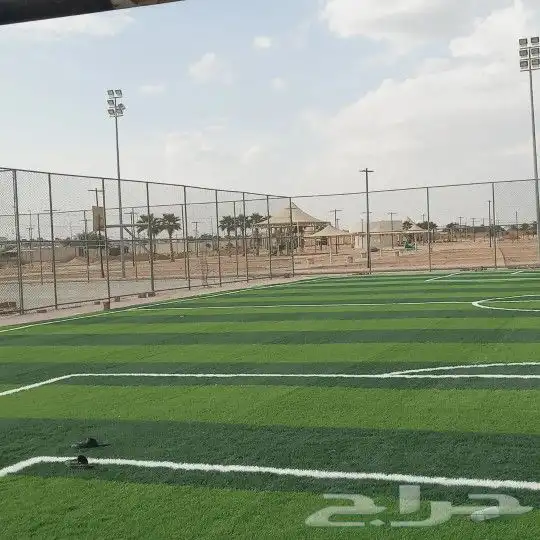 شبوك ملاعب 9